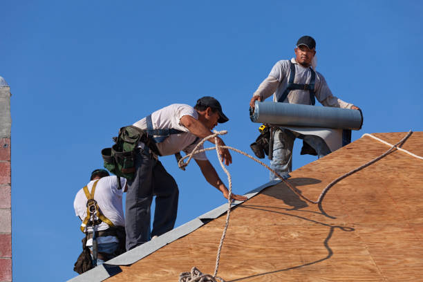 Best Storm Damage Roof Repair  in Parma, ID